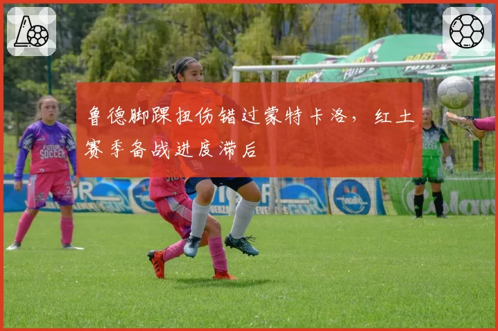 鲁德脚踝扭伤错过蒙特卡洛,红土赛季备战进度滞后
