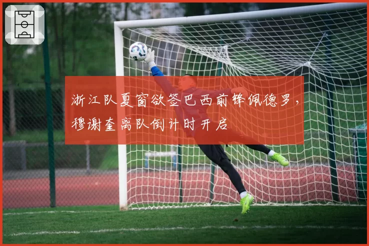 浙江队夏窗欲签巴西前锋佩德罗，穆谢奎离队倒计时开启