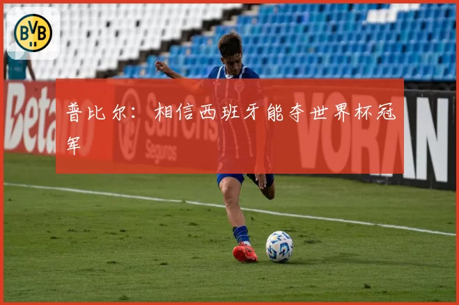 普比尔：相信西班牙能夺世界杯冠军