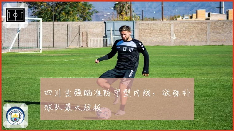 四川金强瞄准防守型内线,欲弥补球队最大短板